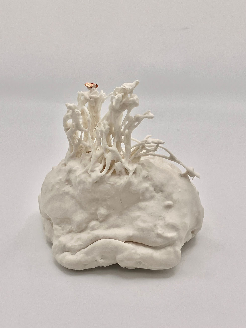 Lisa McEleny - Porcelain Ornament No 6. image 1.jpg