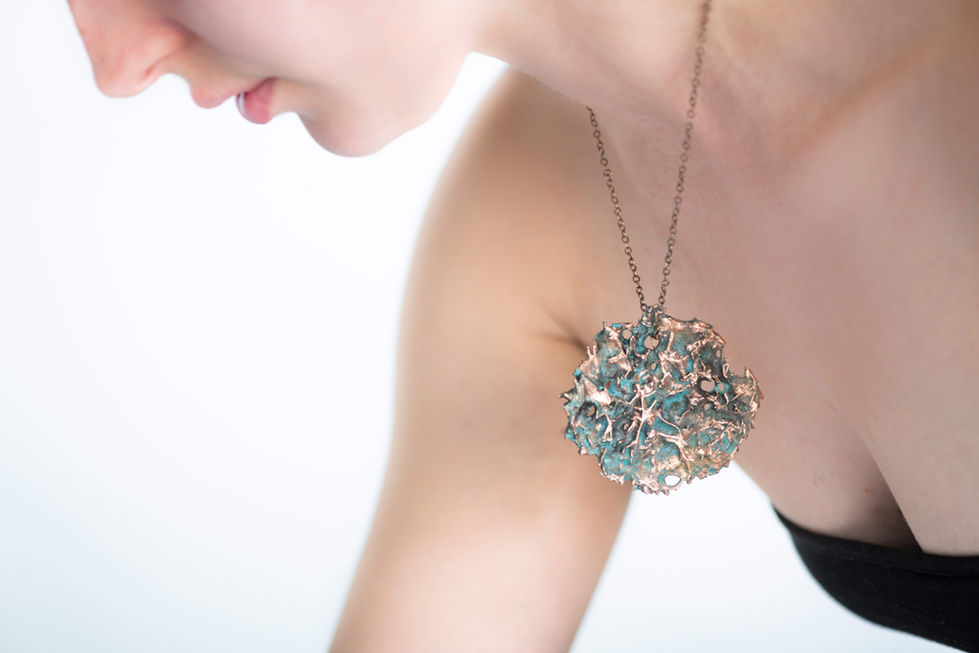 Wheatgrass electroformed necklance .- Photo credit Lorna Yabsley Photography copy 2