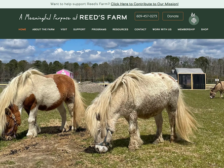 Web Design Case Study: Reed's Organic farm