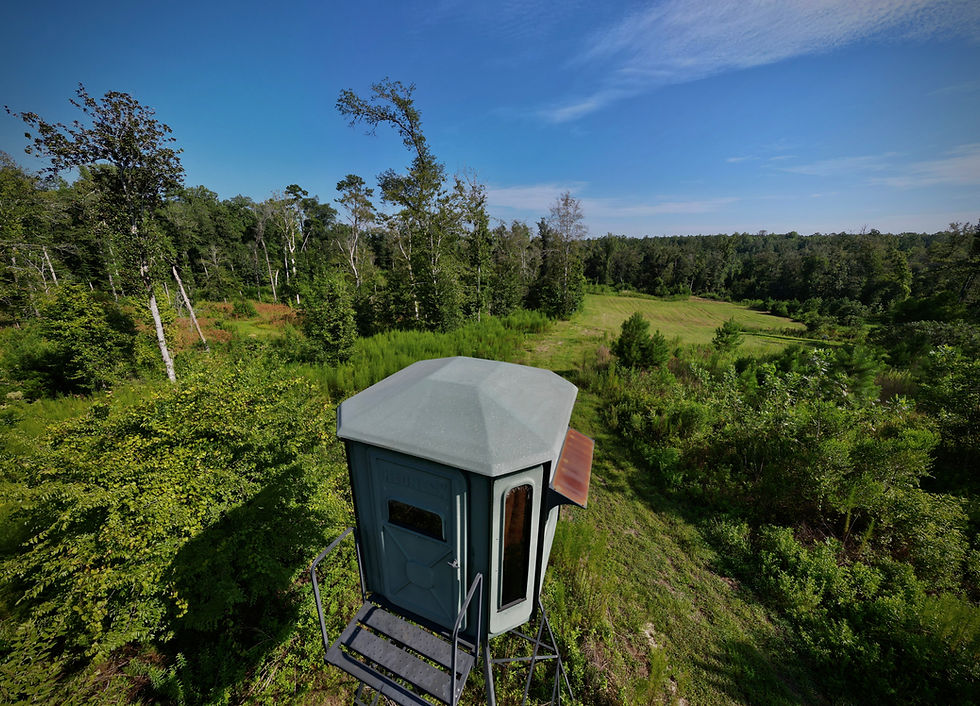 DJI_0653
