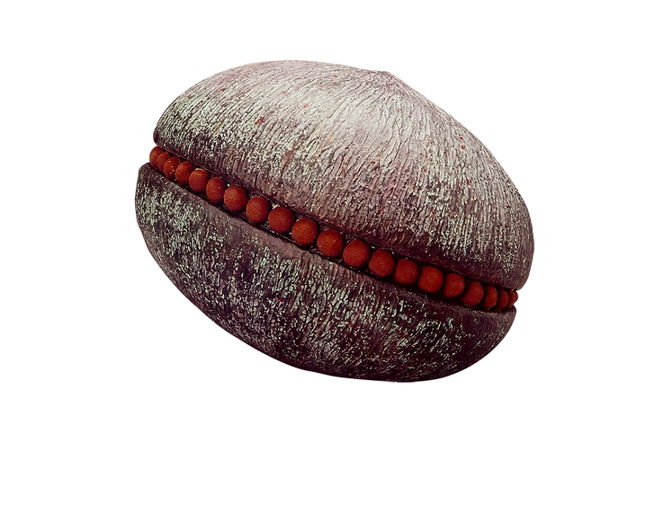 Limpet with Eggs
