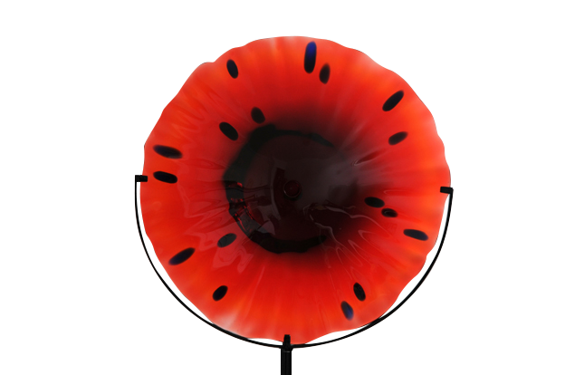 Red disc