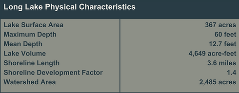 Long Ionia Physical Characteristics.png