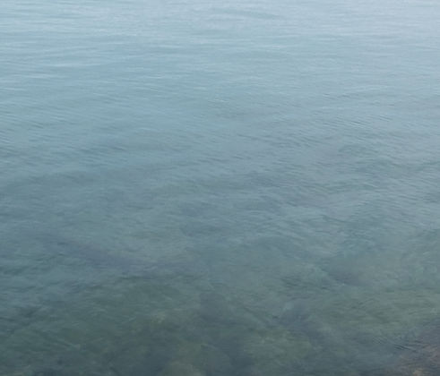 Petoskey Water_edited.jpg