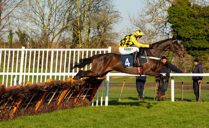 Sidney Banks Memorial Hurdle Day - Full Report