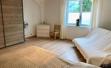main_image (2).jpg