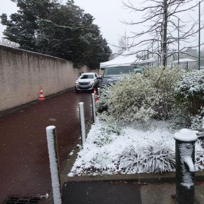 Une distribution sous la neige !