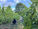 Vendanges 2026