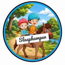 De inschrijvingen voor de Slaapkampen staan open