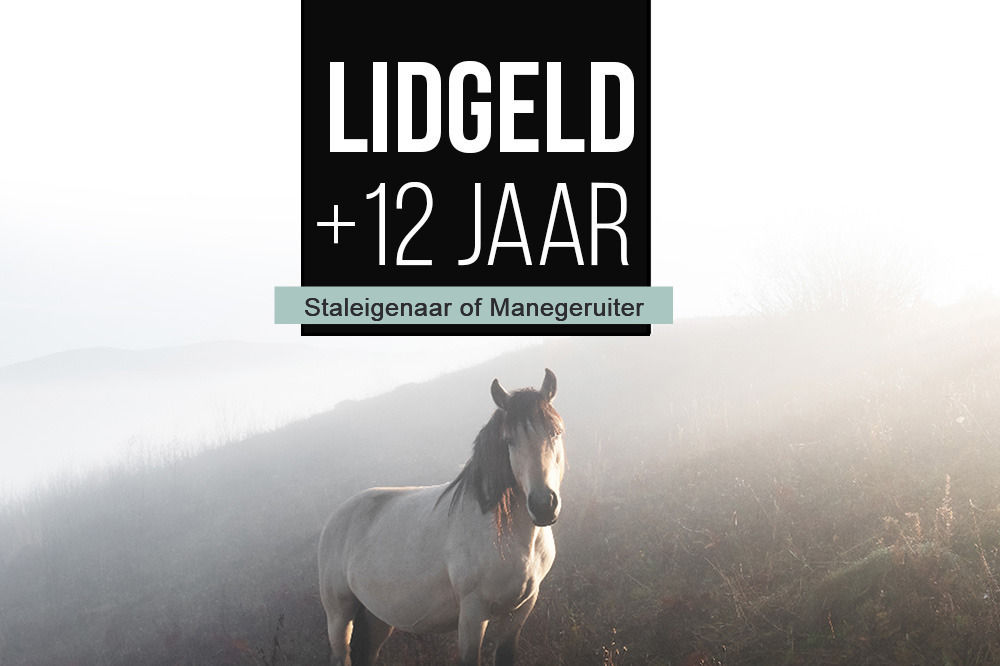 Lidgeld +12 jaar