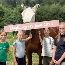 Foto's - Dagkamp -12 jaar 2026
