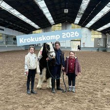 Foto's krokuskamp 2026
