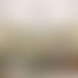 Ponymeting - za. 14 maart