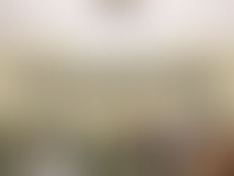 Ponymeting - za. 14 maart