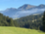 Hochgrat Sommer Bavaria_edited.jpg