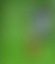 Hogyan tudsz fogyni a HERBALIFE programmal?
Olvasd el ezt a sikertörténetet!
Jelentkezz nálam!