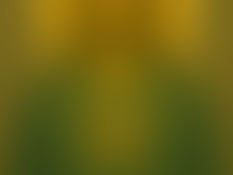 Mensaje desde la Puerta de la Llama Celestial — Bienvenido, Viajero de la Luz — Desde las Voces Unificadas del Consejo de Luz — 12 de agosto de 2025