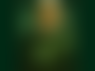 Zorra de la Tierra Hueca – Mensaje Público- Agosto 2025