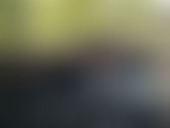 About 50 soldiers, including commander, killed, 15 taken prisoner, more than 20 weapons confiscated in Kanbalu Township, Sagaing Region