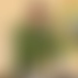 Myanmar Junta Chief Rushes Through New Consultative Council Law