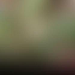 8 Civilians Killed, At Least 10 Injured in One Week Due to Military Junta Actions in Thayetchaung