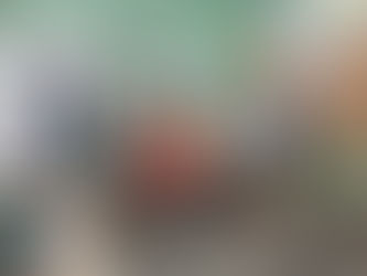 Ethnic political parties make gains in Sagaing Region, Mon and Rakhine states