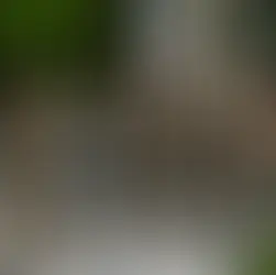 11 Muslims Arrested in Sittwe Within Four Days