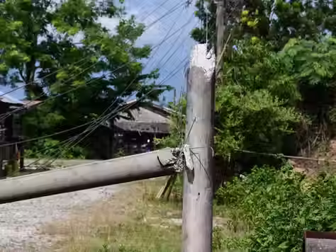One Cow Killed and Two Injured in Airstrike on Lont Taw Pauk Village in Taungup Township