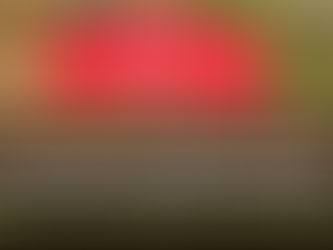 Some Border Guard Bangladesh (BGB) officials indirectly engaging in combat against Arakan Army (AA) along with ARSA, RSO