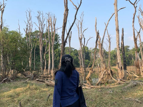 Learning feminism before knowing its name: Verse’s story from Myanmar