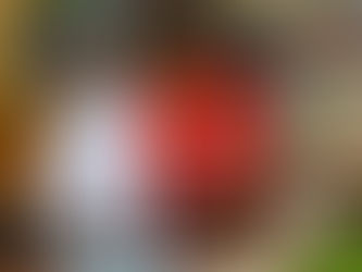 Barred Again, Junta Pretends ASEAN Peace Plan Never Existed; and More