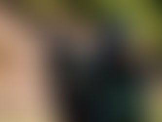 Arakan Army (AA) seizes 15 townships during 2-year war; fighting continues