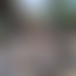 Nearly 120,000 civilian homes torched across Myanmar since 2021 coup as arson attacks intensify