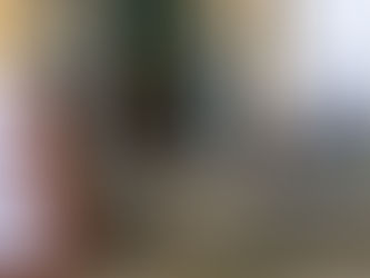 Conflict and fear sap campaign energy ahead of Myanmar election