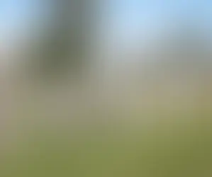 Vluchten toen en nu