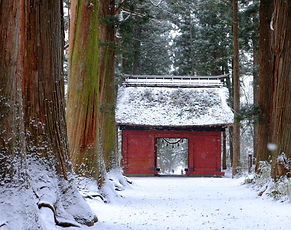 DSCF3389.JPG