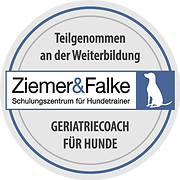 ausbildungssiegel-gch_500.png