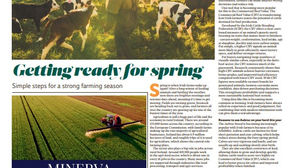 St Patrick's Day and Spring Farming 