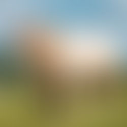 Minerva Innovation Group Sponsors the Royal Highland Show 2025