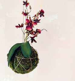atelier kokedama, terrarium, matériaux de terrarium, miniaturbahce, kokedama, bol géométrique, cloche, terrarium, jardin miniature, acheter terrarium