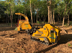 Landscaping and Tree Services in Denton County