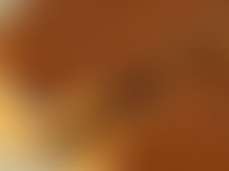 homemade gianduja spread on sourdough bread