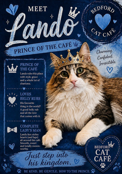 Meet Lando.jpeg