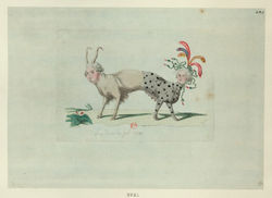 King & Queen as animals