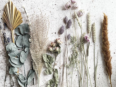 Dried flowers_edited.jpg