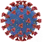 rachel_coronavirus.webp