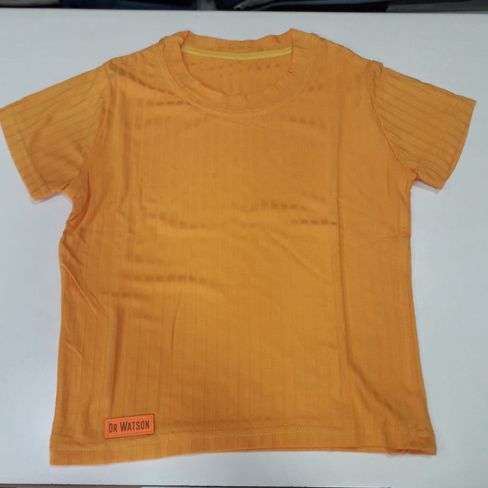 Miniatura: REMERAS DE ALGODON 100%,MORLEY. TALLES: 2,4,6