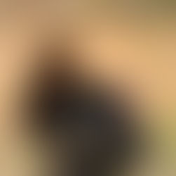 Turkey Hunting in the United States