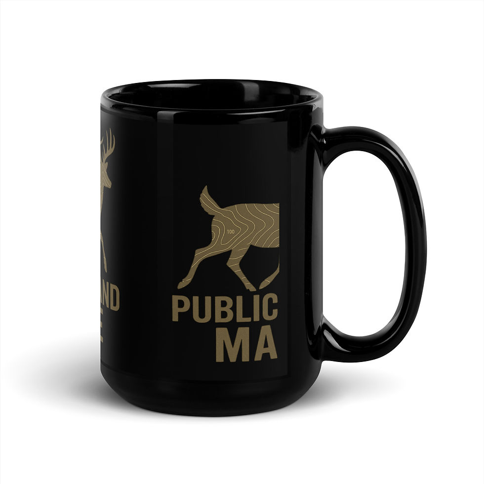 Thumbnail: Public Land Made Mug