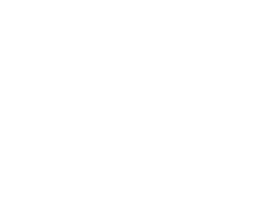 NTC Logo - Header.png